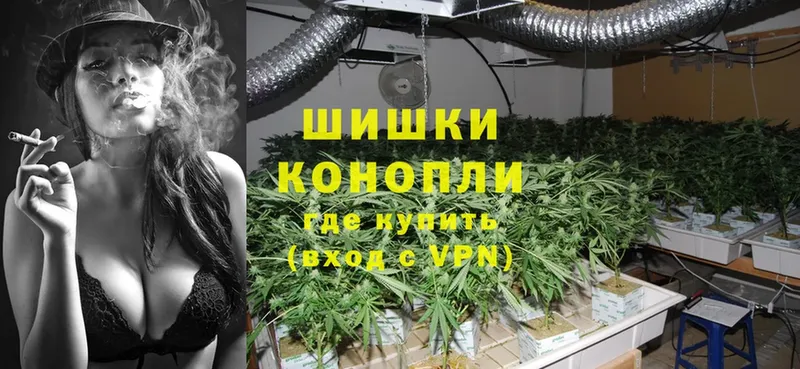 Бошки Шишки White Widow  Шадринск 